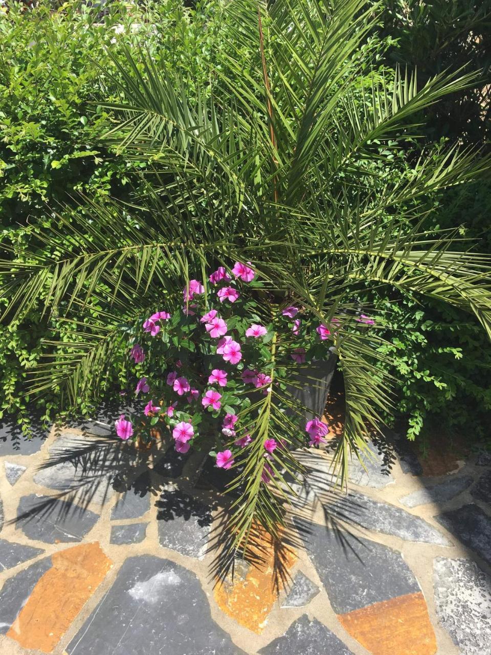 Villa Kela 사밀 외부 사진